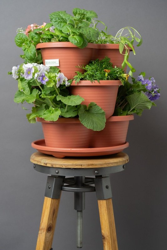 Bloom pollinator tower